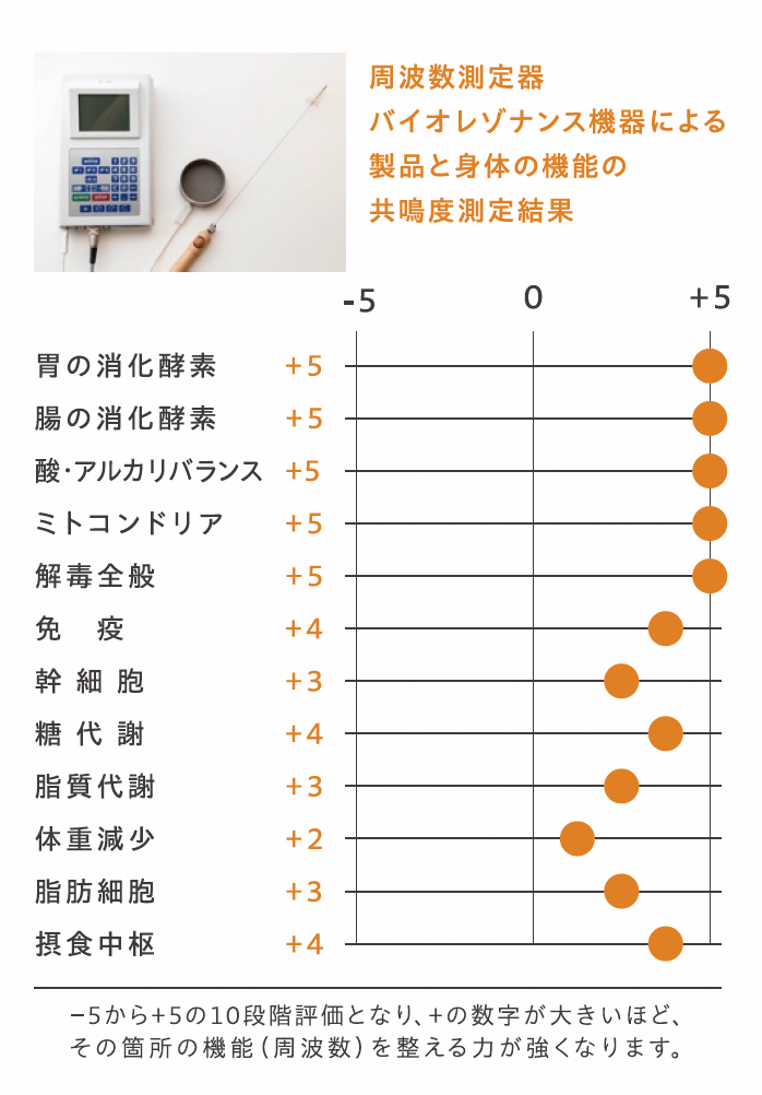 【12本】発酵ナチュラル酵素