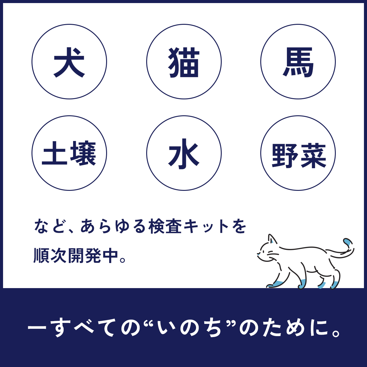 RESONA-LAB(バイオレゾナンス検査キット)