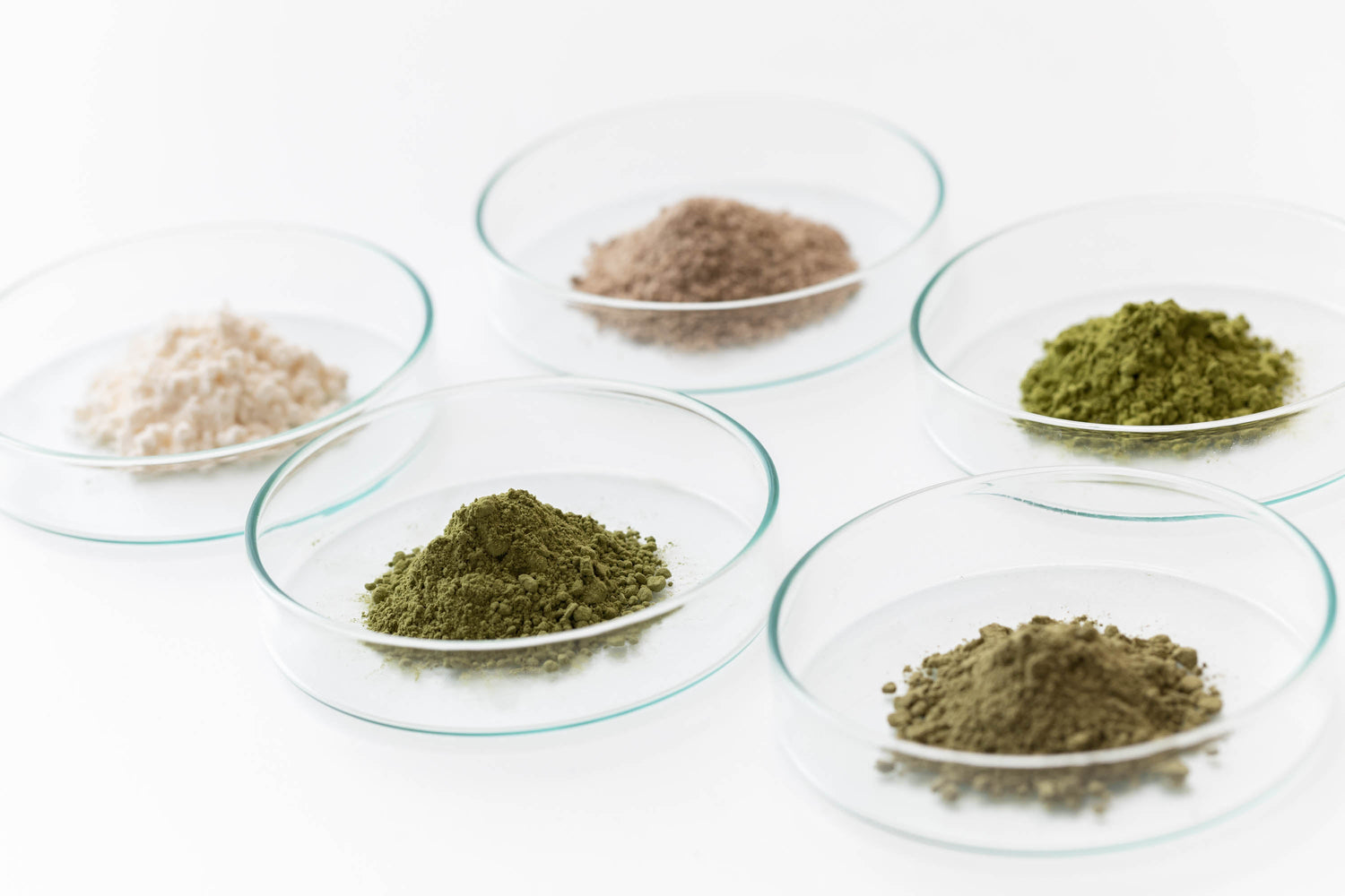 その他おすすめ商品