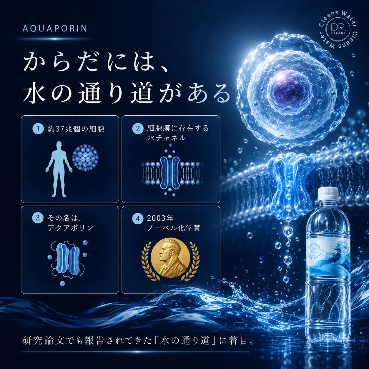 Cleans Water × 24本｜毎日のコンディションを支える水