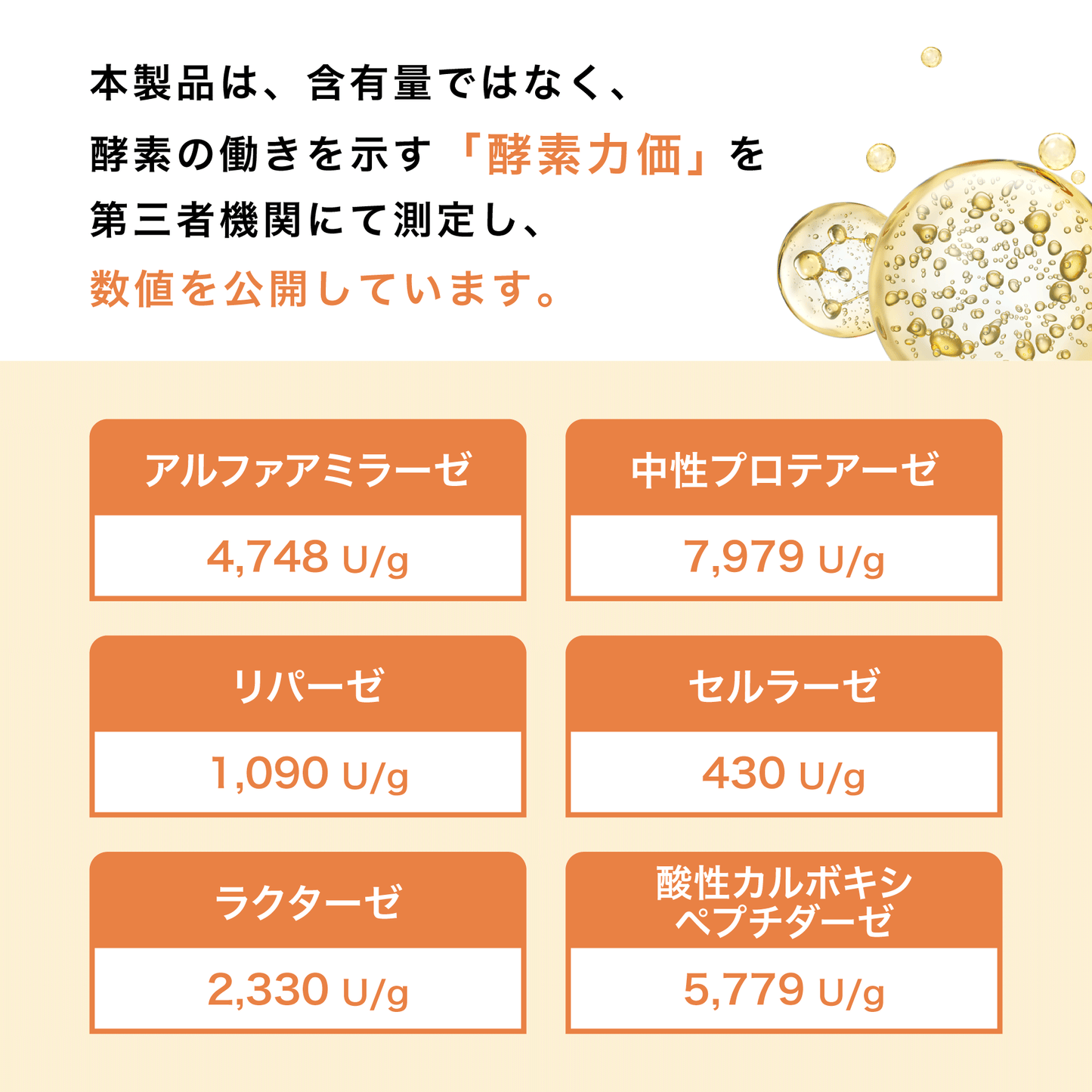 発酵マルチ酵素