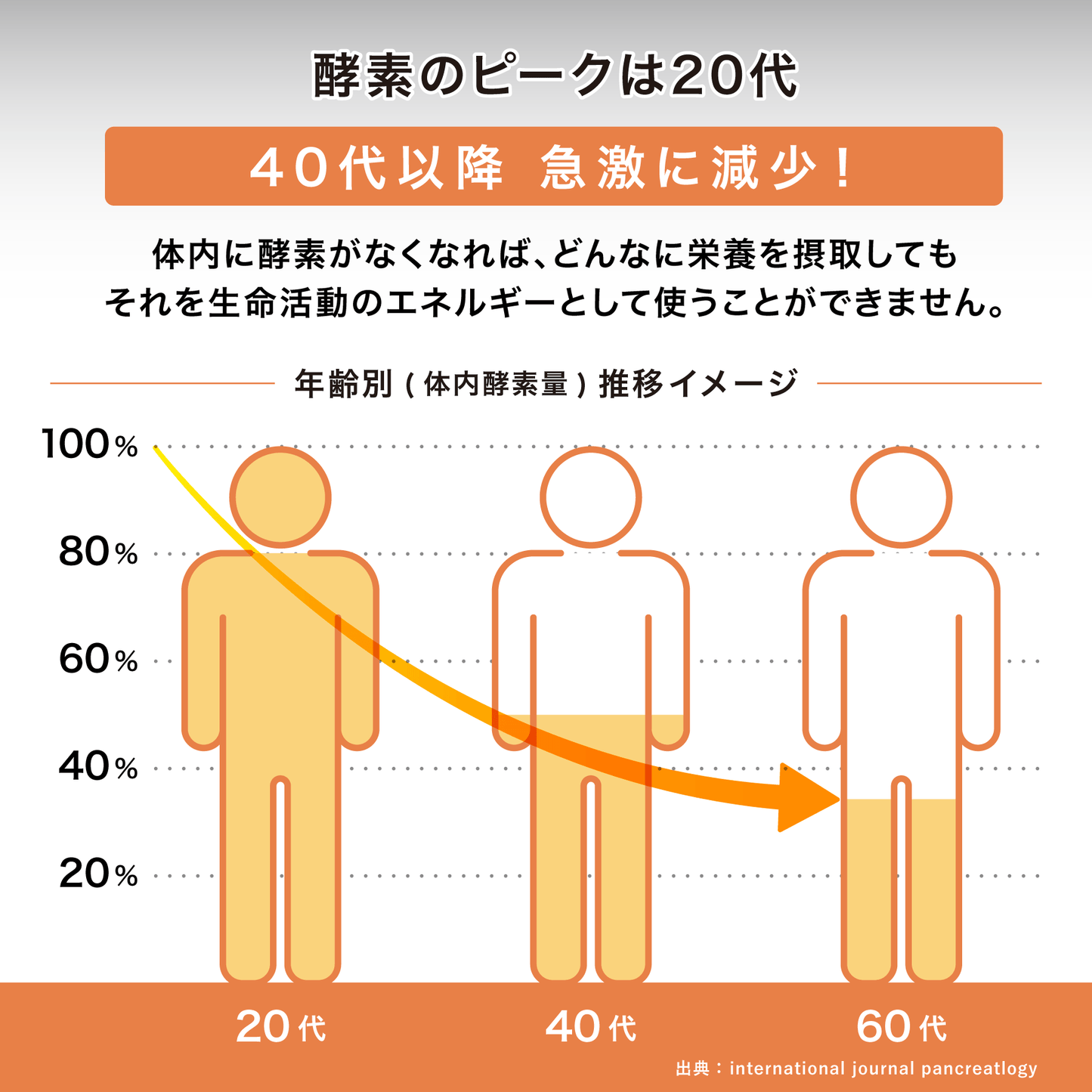 発酵マルチ酵素