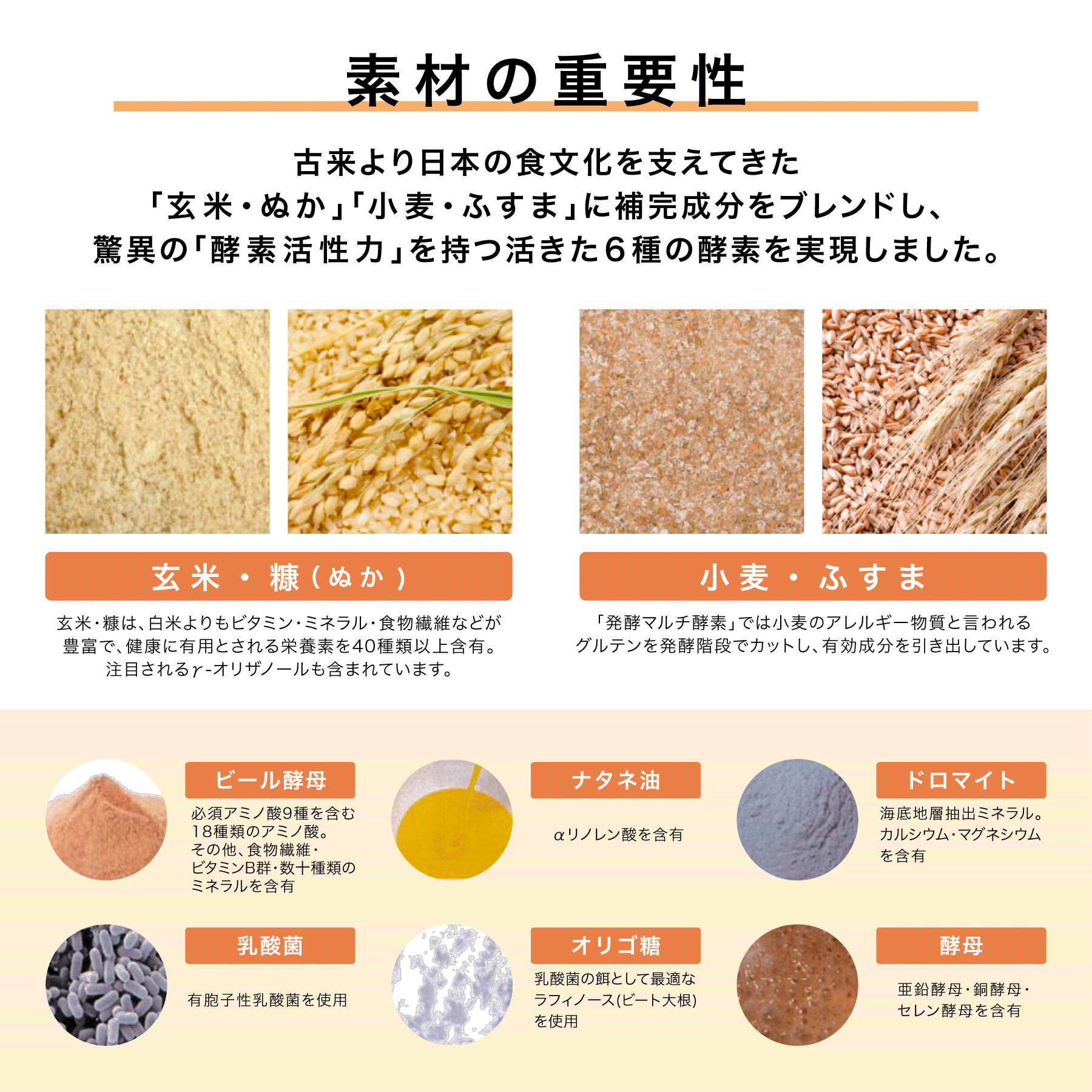 酵素 + スルッと酵素×ドサッと酵母 (28日分)『生きてる 酵母 麹』食
