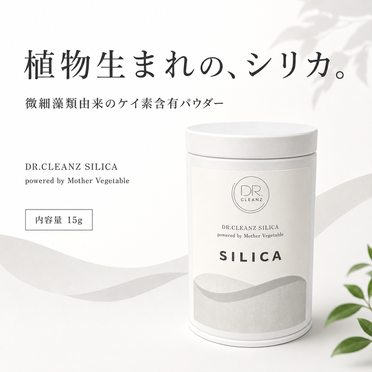 SILICA powered by Mother Vegetable